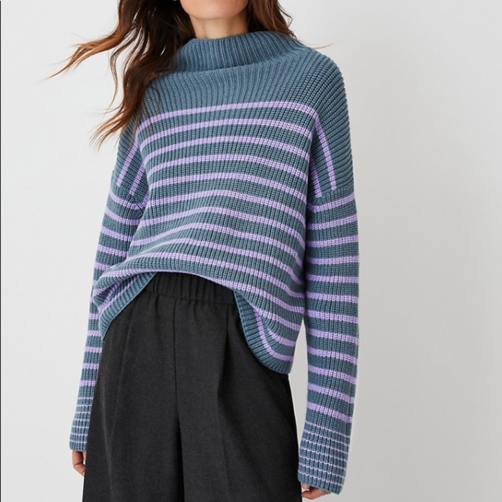Ann Taylor sweater